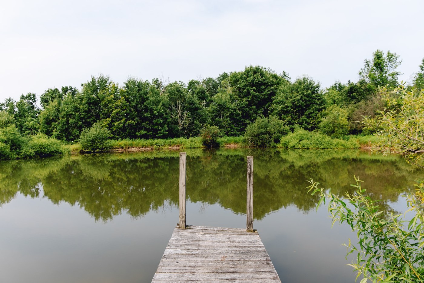 Wooden dock extending into the calm koi pond